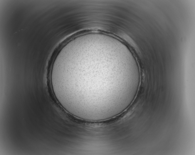 X0000088751020200706282201