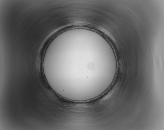 X0000088751021200706282201