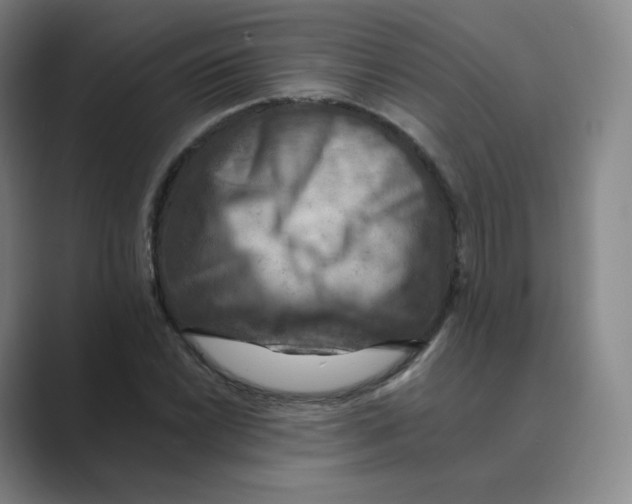 X0000088751022200706282201