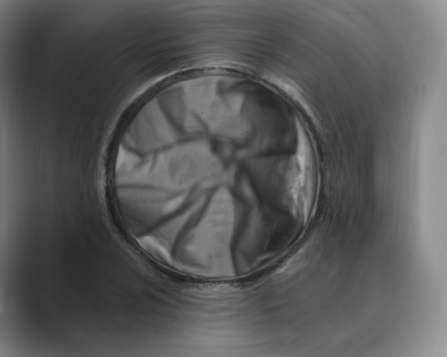 X0000088751024200706282201