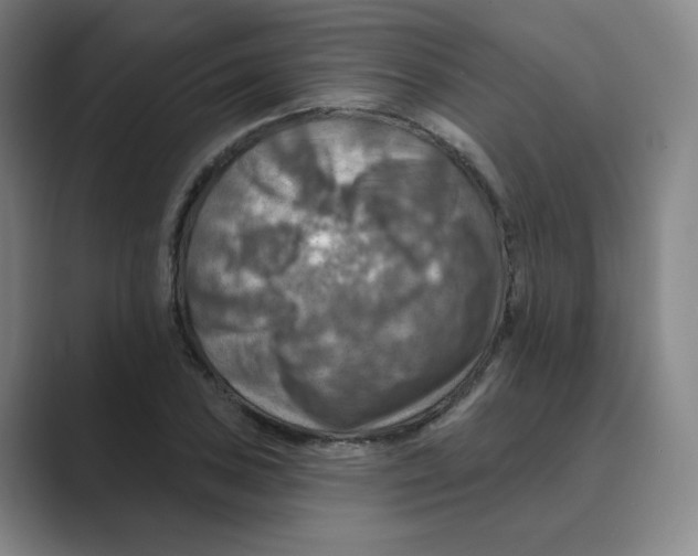 X0000088751027200706282201