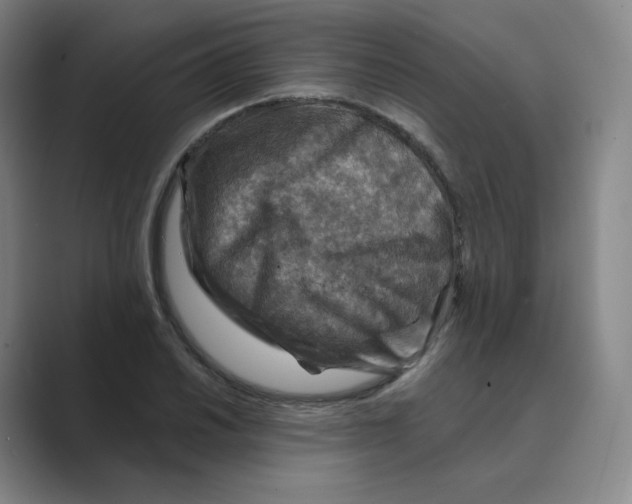 X0000088751030200706282201