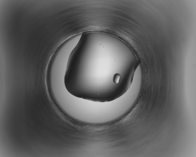 X0000088751034200706282201