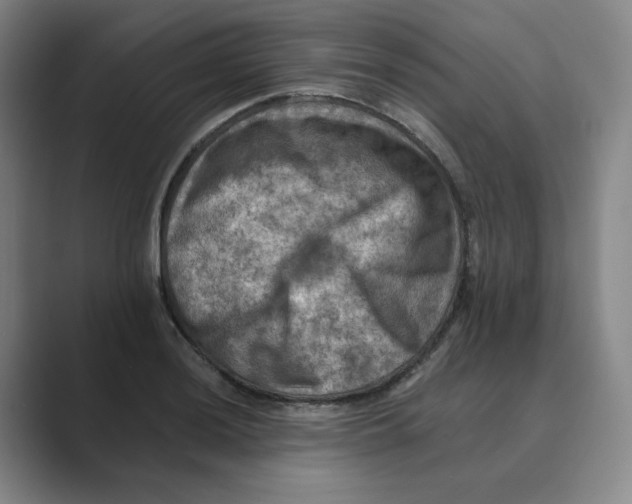 X0000088751036200706282201