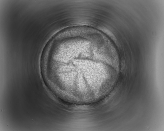 X0000088751039200706282201