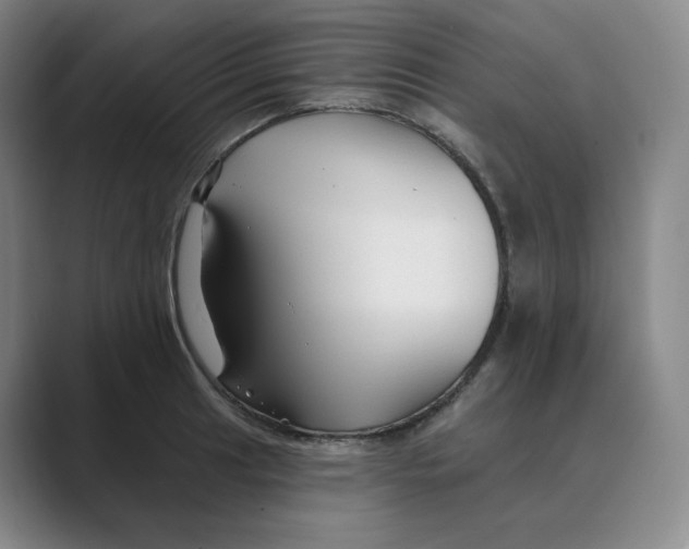 X0000088751041200706282201