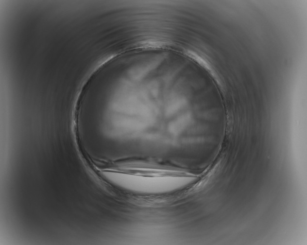 X0000088751042200706282201