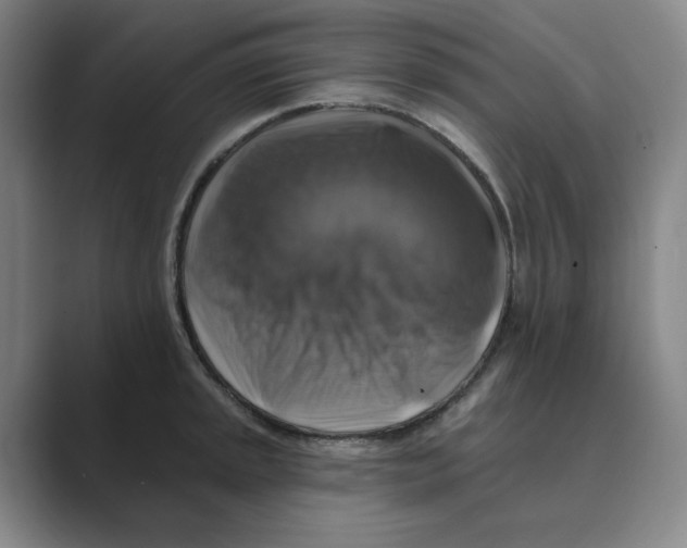 X0000088751045200706282201