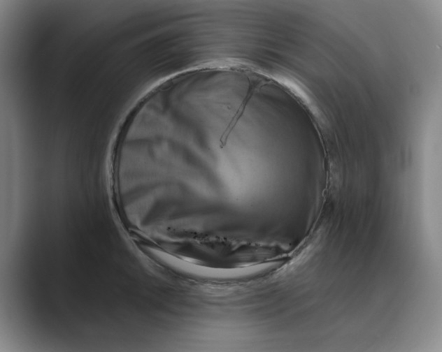 X0000088751046200706282201