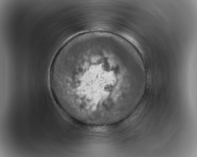 X0000088751047200706282201