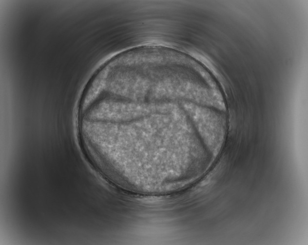 X0000088751048200706282201