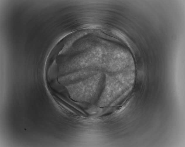 X0000088751050200706282201