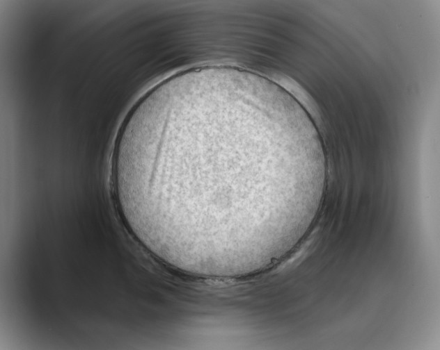 X0000088751052200706282201