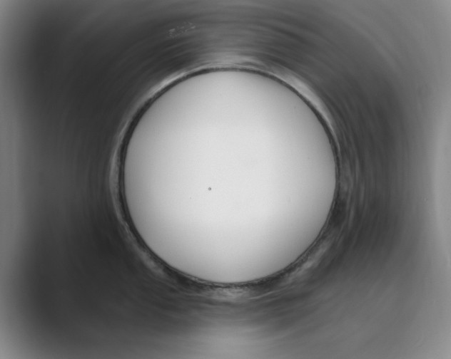 X0000088751053200706282201