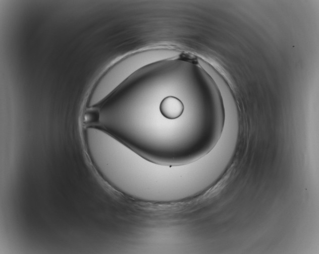 X0000088751054200706282201