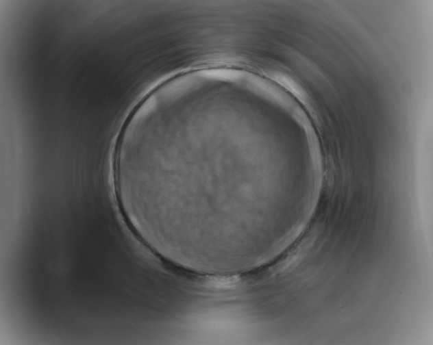 X0000088751055200706282201