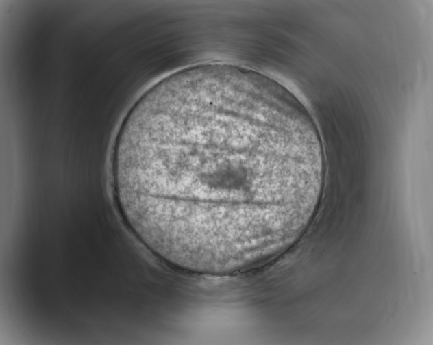 X0000088751056200706282201