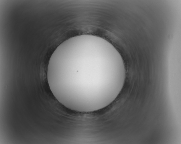 X0000088751058200706282201