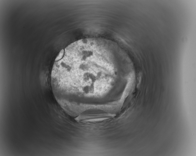 X0000088751059200706282201