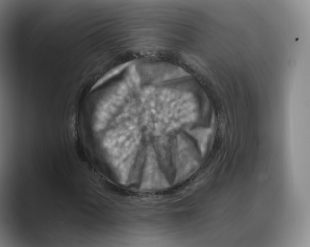 X0000088751060200706282201