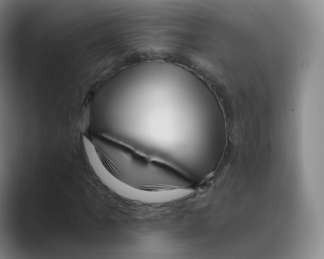 X0000088751061200706282201