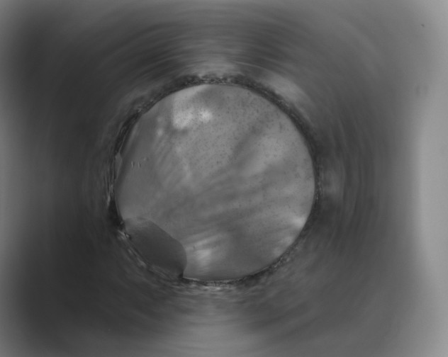 X0000088751063200706282201