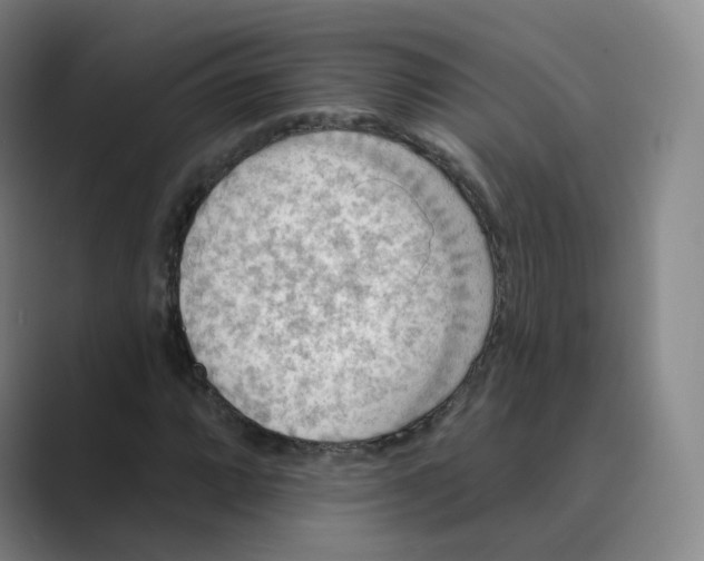 X0000088751064200706282201