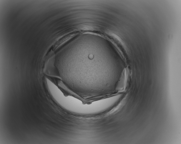 X0000088751065200706282201