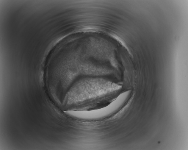 X0000088751066200706282201