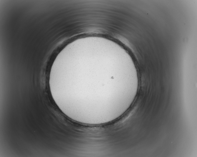 X0000088751067200706282200