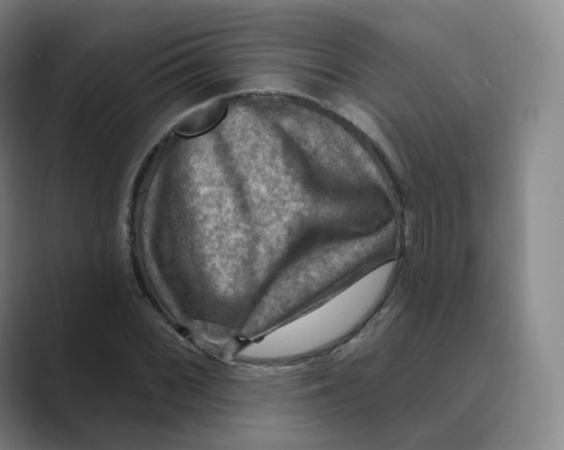 X0000088751068200706282200