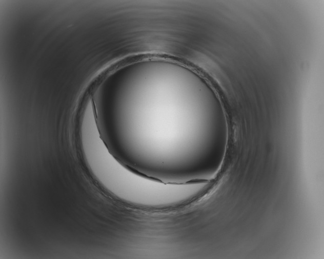 X0000088751069200706282200