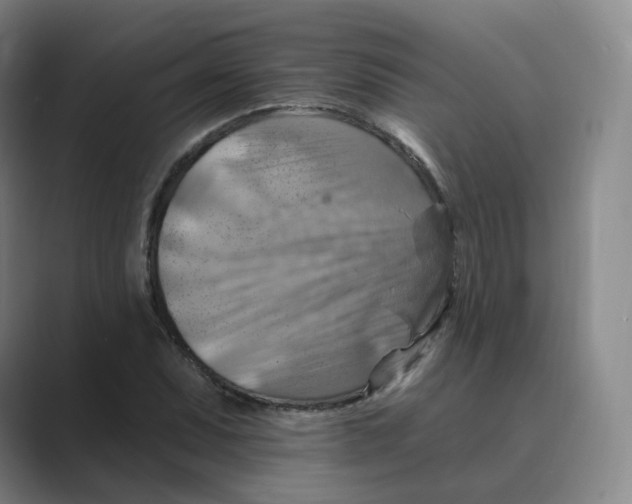 X0000088751071200706282200