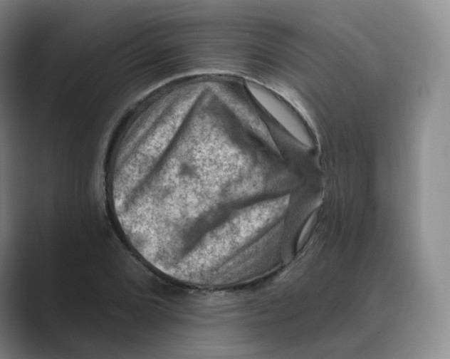 X0000088751072200706282200