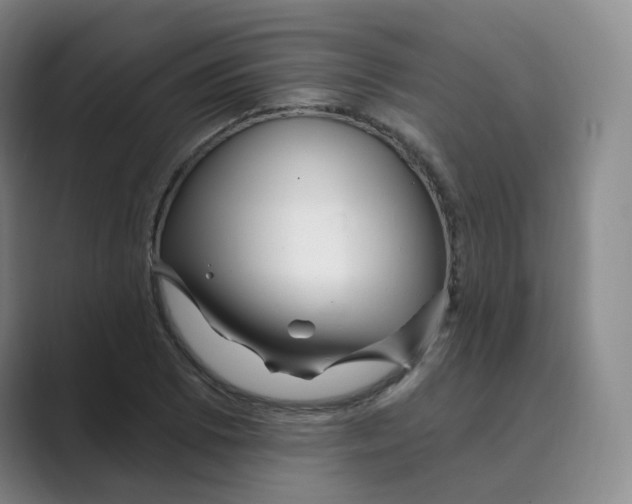 X0000088751073200706282200