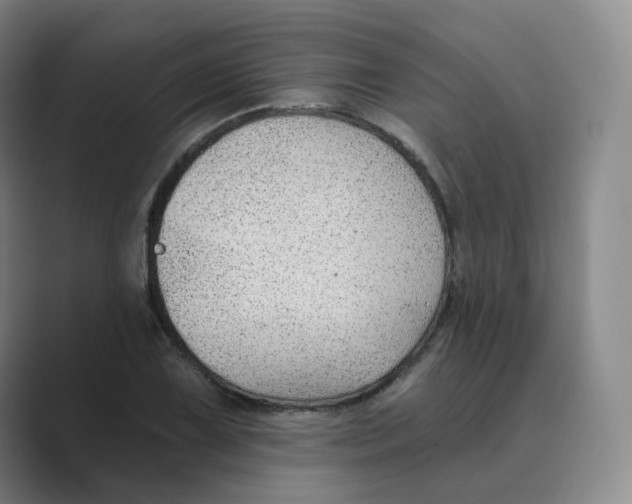 X0000088751075200706282200