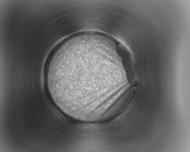 X0000088751076200706282200