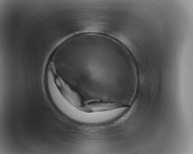 X0000088751077200706282200