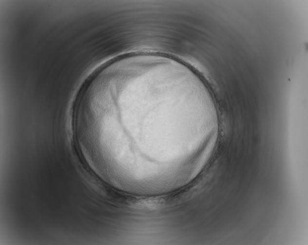 X0000088751078200706282200