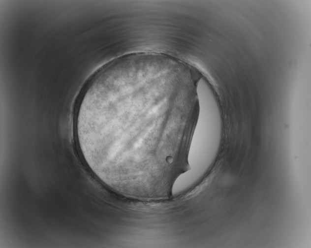 X0000088751079200706282200