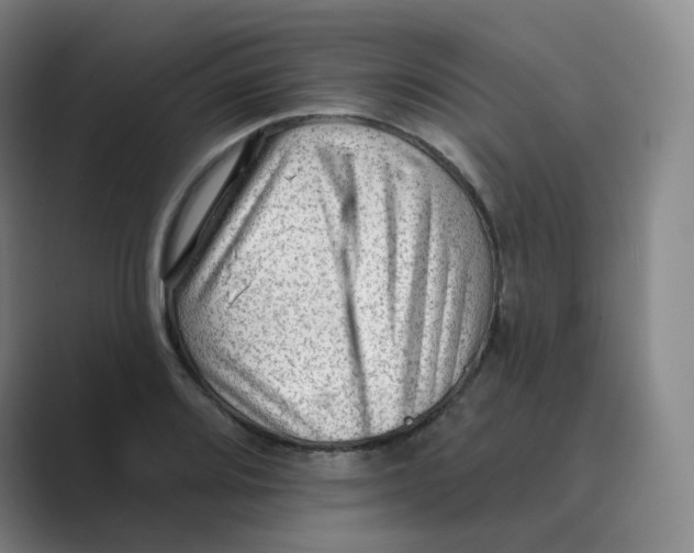 X0000088751080200706282200