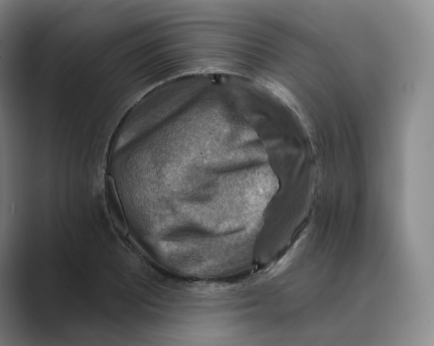 X0000088751081200706282200