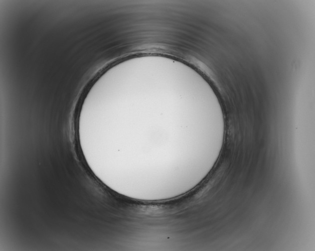 X0000088751082200706282200