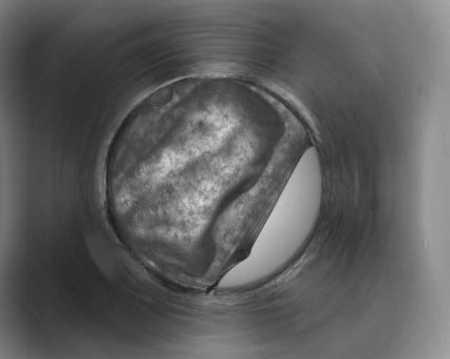 X0000088751083200706282200