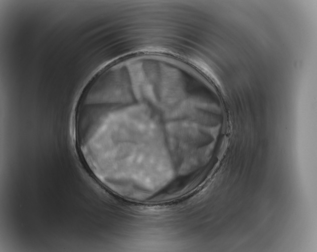 X0000088751084200706282200