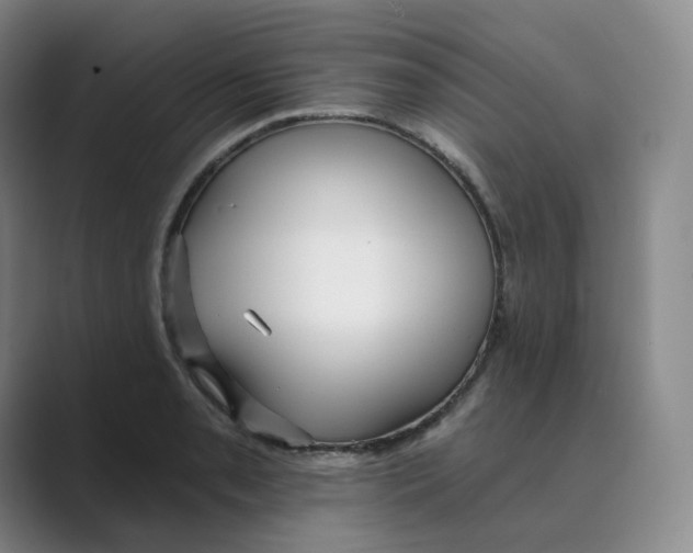 X0000088751085200706282200