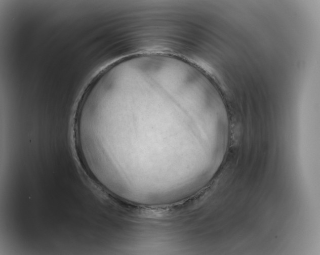 X0000088751086200706282200