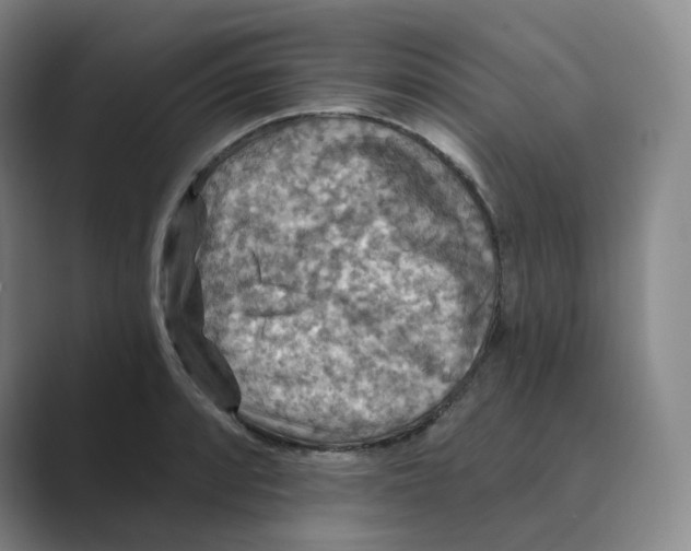 X0000088751088200706282200