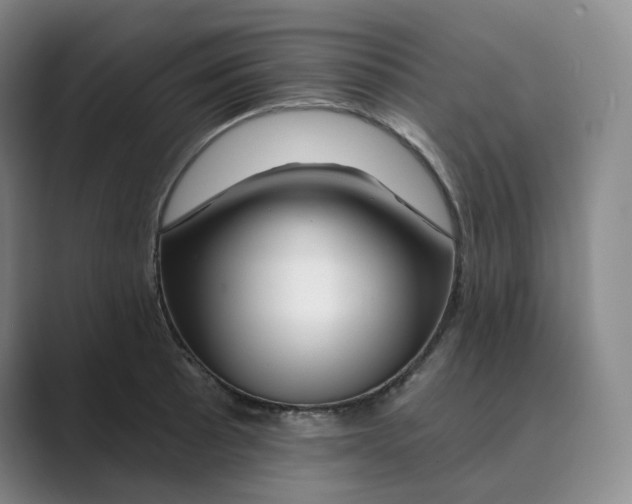 X0000088751089200706282200