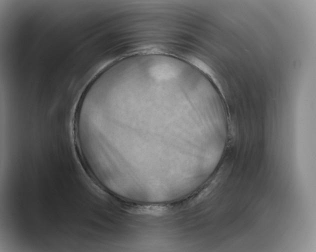 X0000088751090200706282200